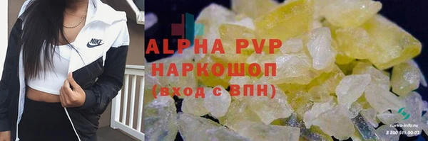 сатива Елабуга