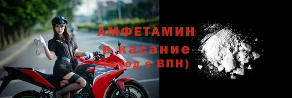 ECSTASY Ельня