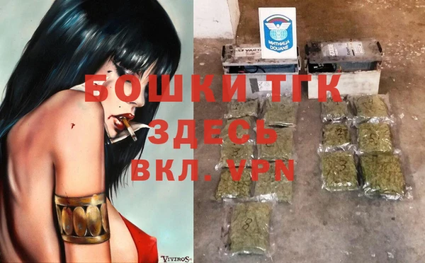 сатива Елабуга