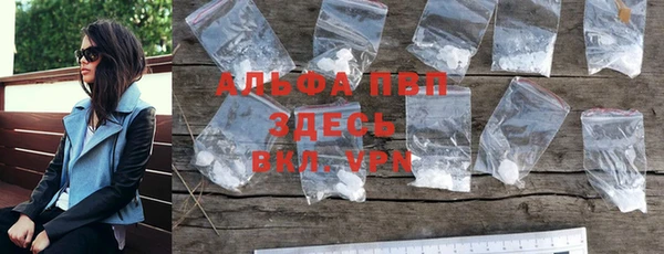 сатива Елабуга