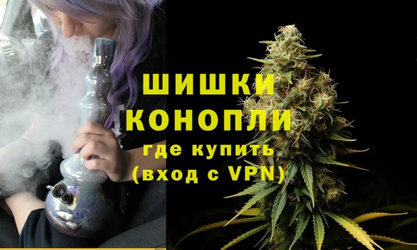 ECSTASY Ельня