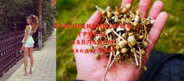 круглые Елизово
