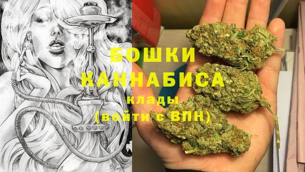 сатива Елабуга