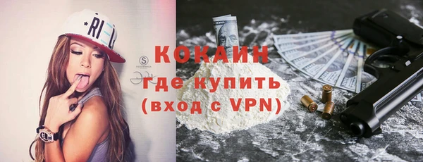 сатива Елабуга