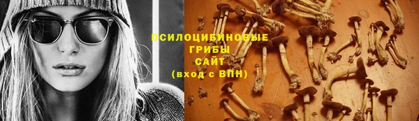 сатива Елабуга
