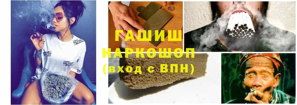 ECSTASY Ельня