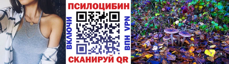 Купить закладки  Сергач  Галлюциногенные грибы прущие грибы 